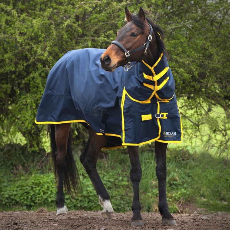 Gallop Trojan Combo Medium Duraproof Turnout Rug 200gm in Navy/Yellow-1